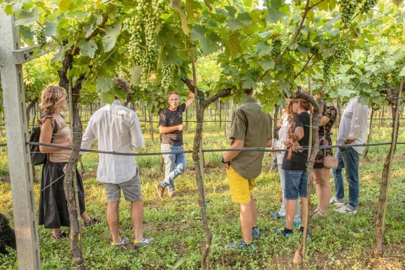 VERONA: WINE TASTING FOR THOSE WHO LOVE COMPARISONS - A Detailed Look at the Verona Wine Tasting Experience