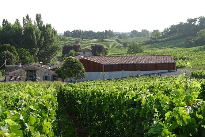 Verres-Tigineux workshop and tasting in Saint-Émilion - The Glassware Workshop: Why It Matters