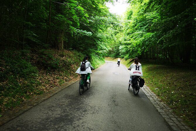 Versailles Full-Day Electric Bike Tour : Market, Picnic & Palace - Exploring Versailles and Its Surroundings