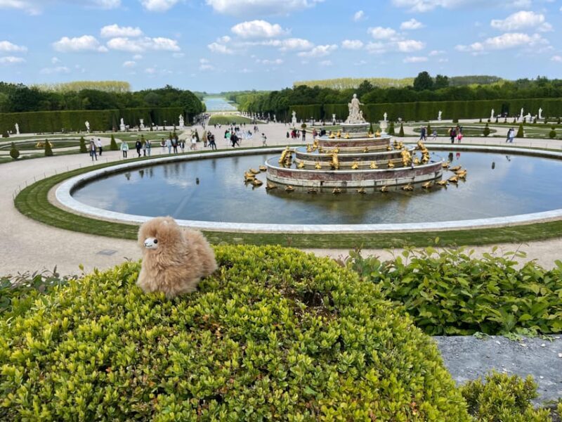 Versailles Half-day Private Tour by Luxury Car - Final Thoughts