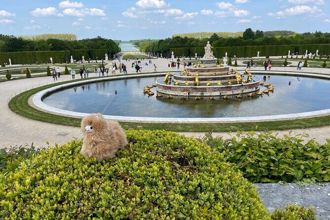 Versailles Half Day Private Tour Trianons & Gardens Included - Transport and Comfort