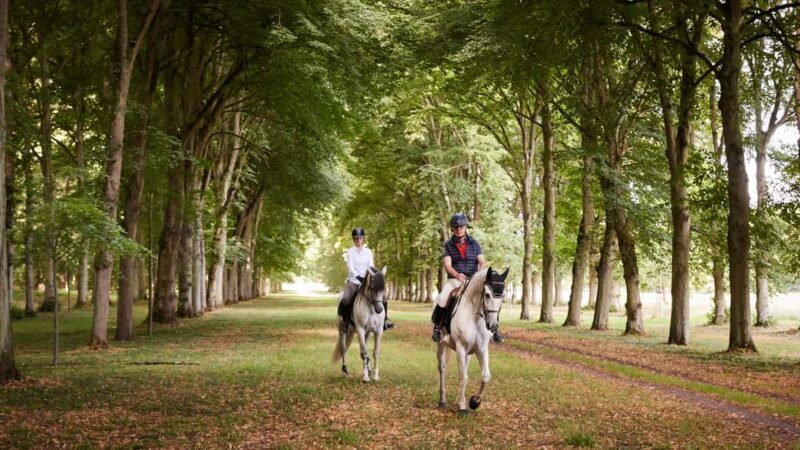 Versailles: Palace & Gardens Horseback Ride with Lunch - An In-Depth Look at the Versailles Horseback Experience