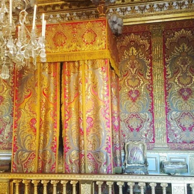 Versailles Palace Skip The Line Access Half Day Private Tour - A Close Look at the Versailles Palace Skip The Line Access Half Day Private Tour