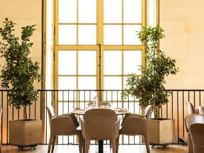 Versailles: Skip-the-Line Entrance and Tea Time at Ore - Who Should Consider This Experience?