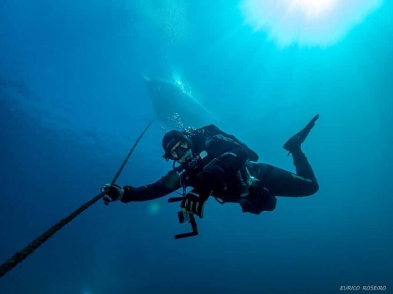 Very First Scuba Dive Experience in the Ocean from Peniche - Key Points