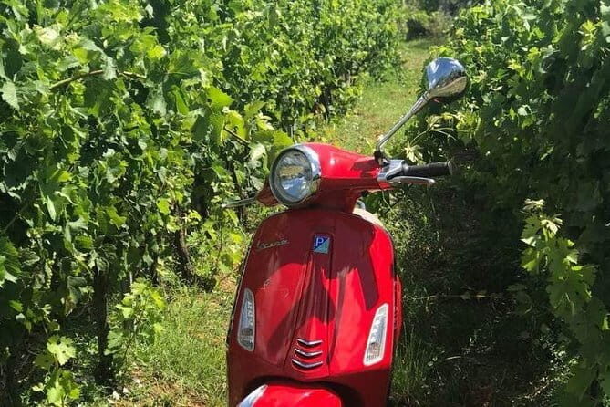 Vespa Motorcycle rental in Florence - Authenticity and Practicality: What You Need to Know