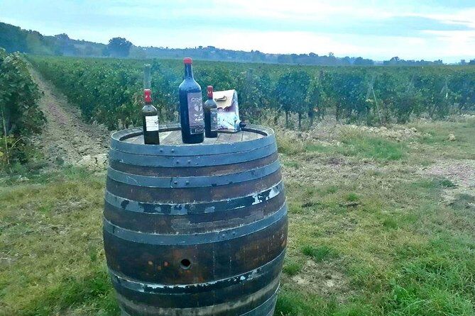 Vespa Tour with Lunch&Chianti Winery from Siena - Final Thoughts: Is It Worth It?