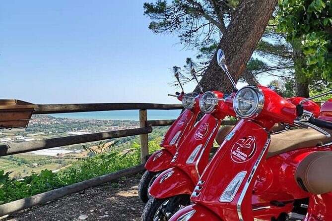 Vespa tour with written guide of Marche in Valdaso - Who Should Consider This Tour?