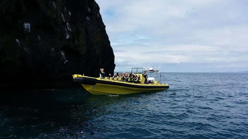 Vestmannaeyjar: One Hour Small Islands Trip - The Bottom Line