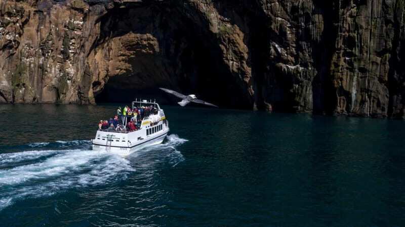 Vestmannaeyjar: Puffin, Island, and Volcano Boat Tour - The Value and Why Its Worth Doing