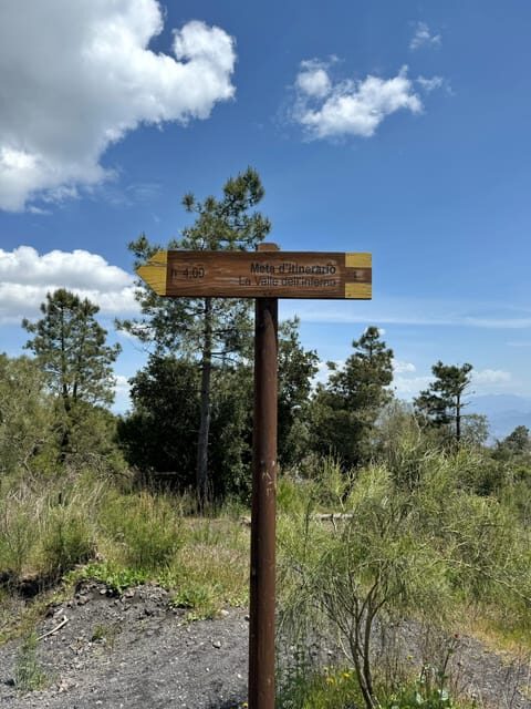 Vesuvio Bike Tour: Summit Ride and Entrance Ticket - What Could Be Better