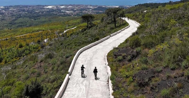 Vesuvio Bike Tour: Summit Ride and Entrance Ticket - Who Will Love This Tour?