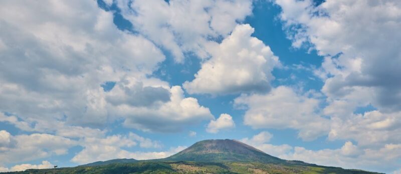 Vesuvio Tour with entrance ticket included - Key Points