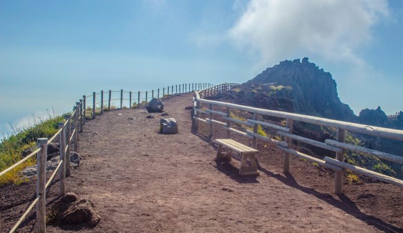 Vesuvius National Park Skip-The-Line Ticket and Audio Guide - The Practicalities: Pricing, Duration, and What’s Included