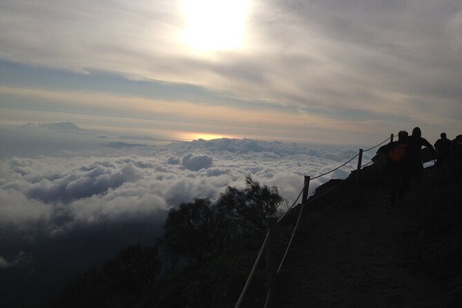 Vesuvius, V.I.P. the only Tour with Volcanological Guide - The Sum Up