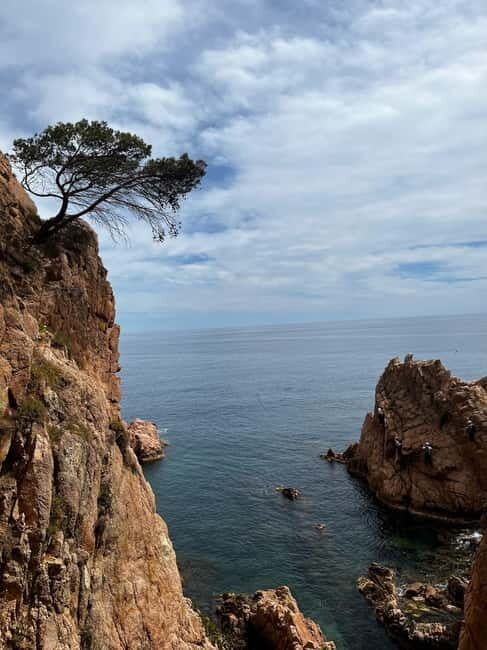 Via Ferrata Adventure in Costa Brava + Transport - Discovering the Via Ferrata Adventure in Costa Brava