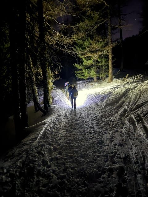Vialattea: Night Snowshoeing under the Stars - Who Should Consider This Tour?