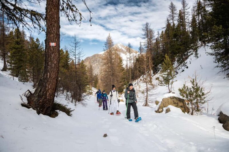 Vialattea: Snowshoeing in the Snowy Forest - Exploring the Snowshoeing Experience in Piedmont