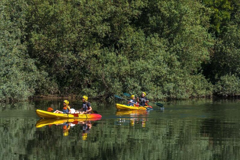 Viana do Castelo: Kayak Adventure on the Lima River - Key Points