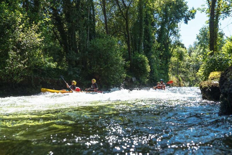 Viana do Castelo: Kayak Adventure on the Lima River - Who Should Consider This Tour?