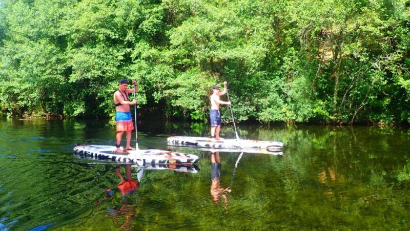 Viana do Castelo: Vez River SUP with Transfer Options - Key Points