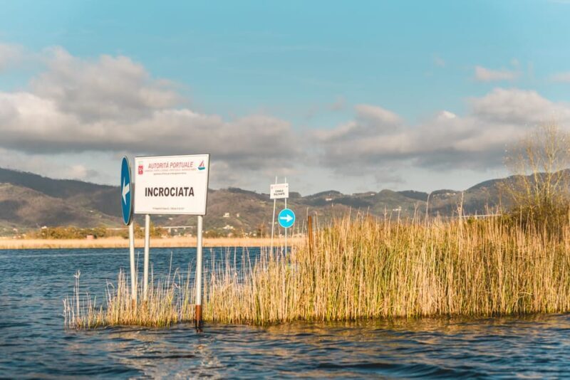 Viareggio: Marshes Electric Boat Tour with Wine Tasting - Exploring the Padule Marshes: What to Expect