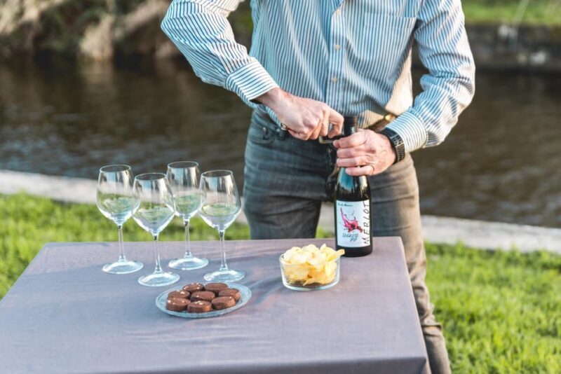 Viareggio: Marshes Electric Boat Tour with Wine Tasting - Is This Tour Worth It?