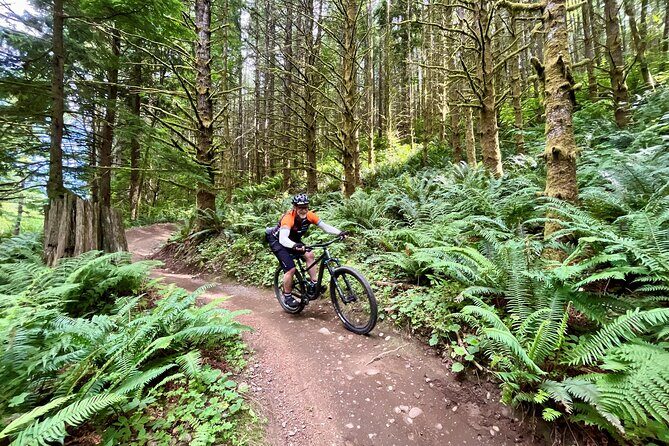 Viator Exclusive - Half Day Mountain Bike Tour from Seattle - FAQs