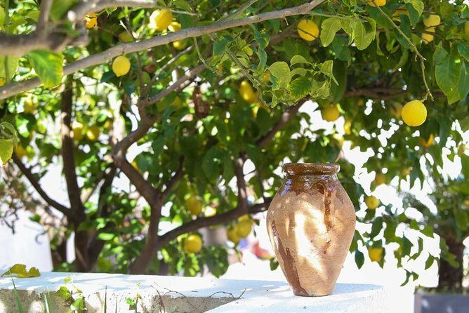 Viator Exclusive: Local Cooking Class & Dinner with View of Nice - Frequently Asked Questions