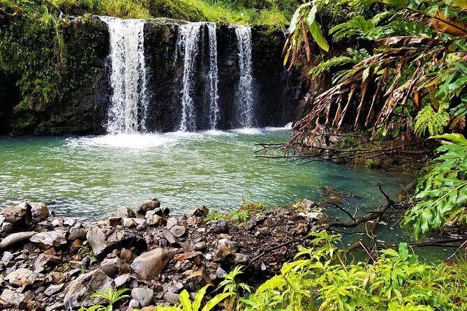 Viator Exclusive: Maui Tropical Rainforest Small Group Tour - Pua’a Ka’a State Park: Refreshing Swim & Waterfall