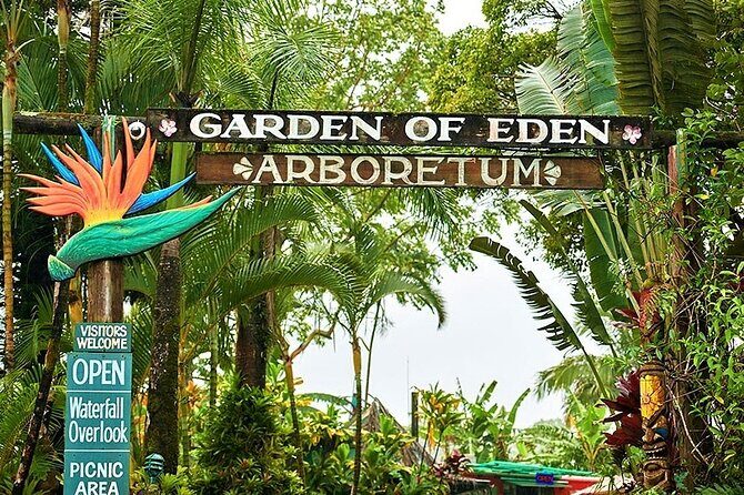 Viator Exclusive: Maui Tropical Rainforest Small Group Tour - The Garden of Eden Arboretum & Botanical Garden