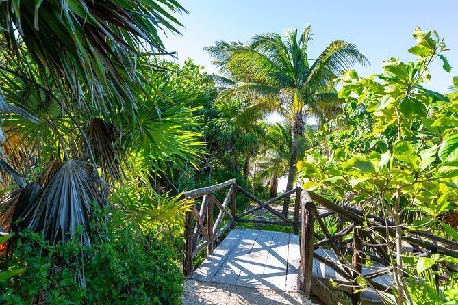 Viator Exclusive: Tulum Ruins, Reef Snorkeling, Cenote and Caves - Practical Considerations: What to Know Before You Go