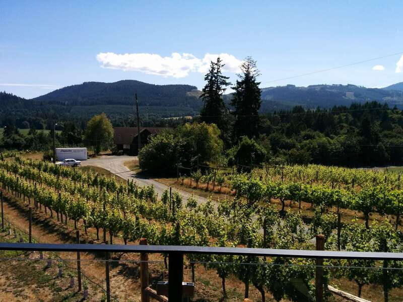 Victoria, BC: Food & Wine Tour to the Cowichan Valley - An Overview of the Tour Experience