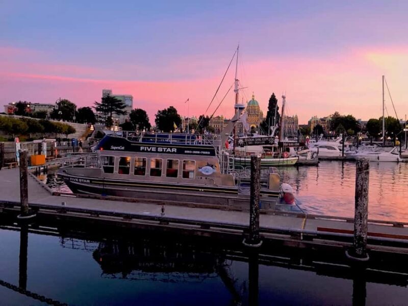Victoria, BC: Sunset Whale Watching Tour - Who Will Love This Tour?