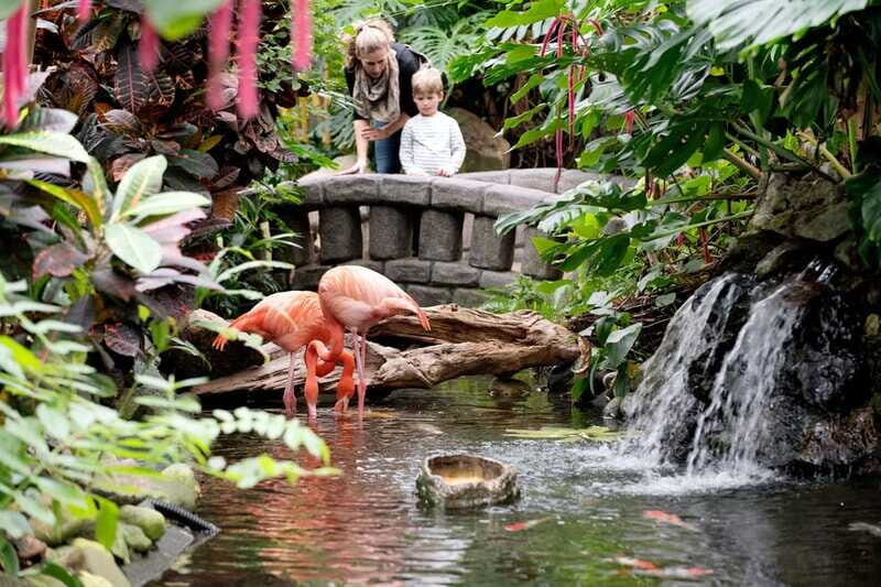 Victoria: Butterfly Gardens Admission Ticket - Gardens and Plants