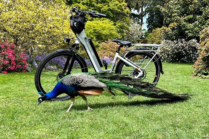 Victoria City Highlights E-Bike Tour - Castle Hoods & Legends - Who Will Love This Tour?