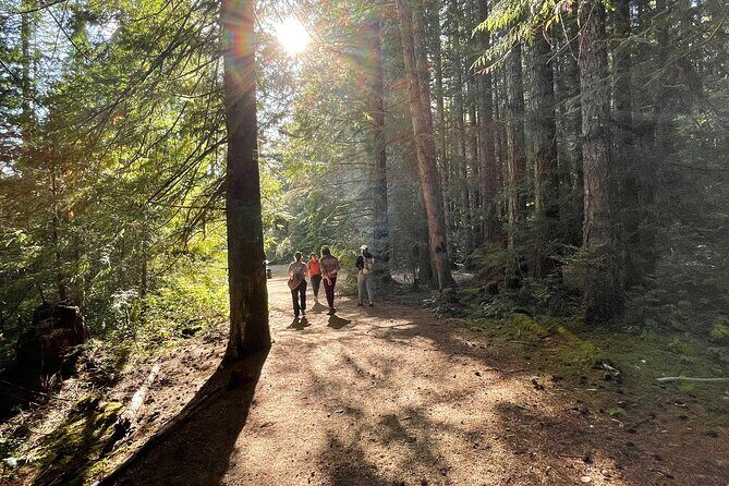 Victoria Ferry connector Waterfall Vista, Rainforest and Aquarium - Final Thoughts: Is It Worth It?