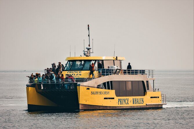 Victoria Half-Day Whale Watching Adventure with Free Photos - Who Should Consider This Tour?