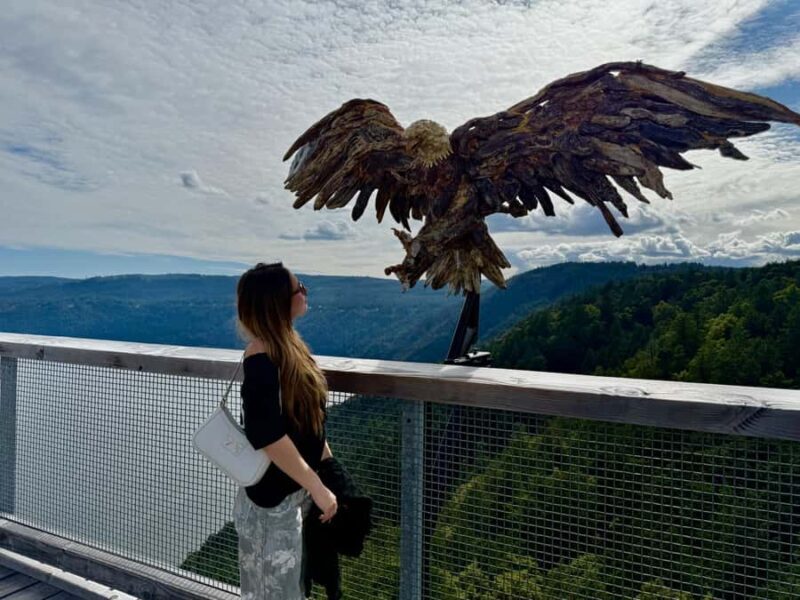 Victoria: Malahat Skywalk & Iconic Landmark Tour - Why This Tour Works Well for You