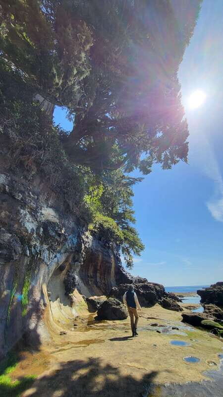 Victoria: Old Growth Rainforest Canyon Waterfall and Beaches - Real Traveler Feedback and Insights