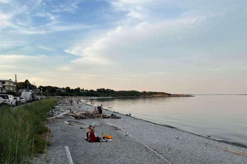 Victoria: Paddle Board Tour at Willows Beach - Key Points