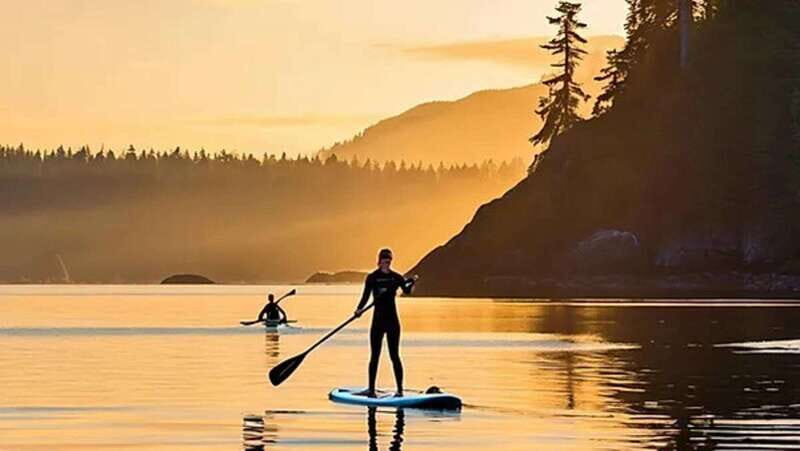Victoria: Paddle Board Tour at Willows Beach - Exploring the Experience in Detail