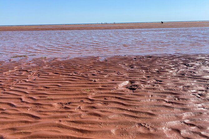 Victoria Prince Edward Island Minivan Tour - Stops 4 & 5: Argyle Shore and Canoe Cove
