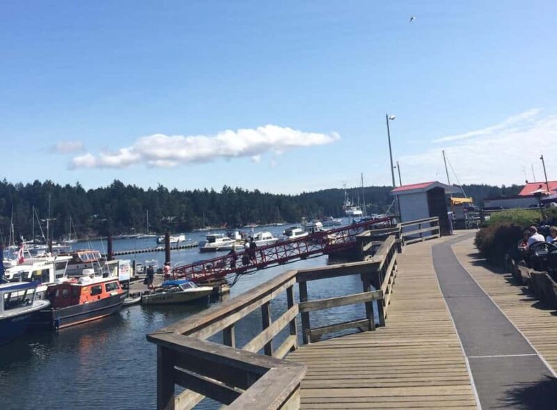 Victoria: Private Captain's Tour Southern Gulf Islands - Who Is This Tour Best For?