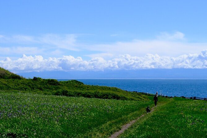 Victoria Seaside Splendors Trail Walking Tour - Key Points