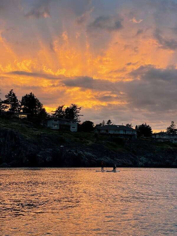 Victoria: Sunrise or Sunset SUP Tour - Key Points