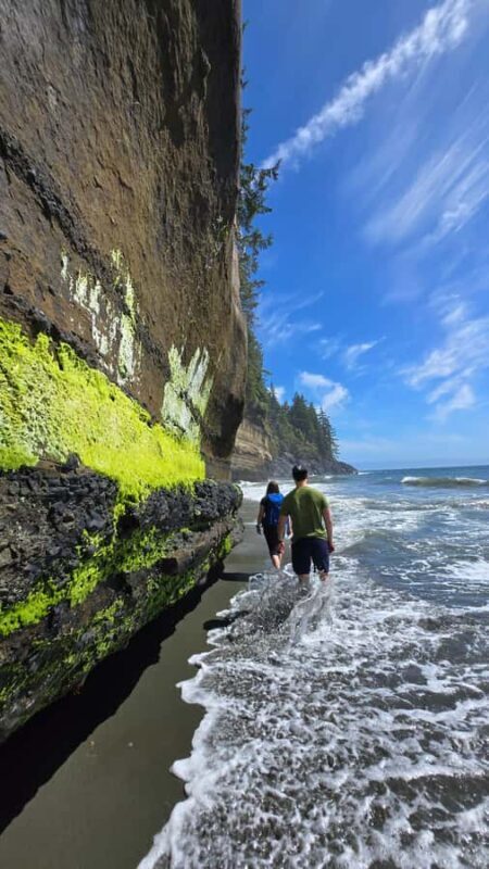 Victoria West Coast Wildlife, Old Growth and Waterfalls - Exploring Vancouver Island’s West Coast: What to Expect