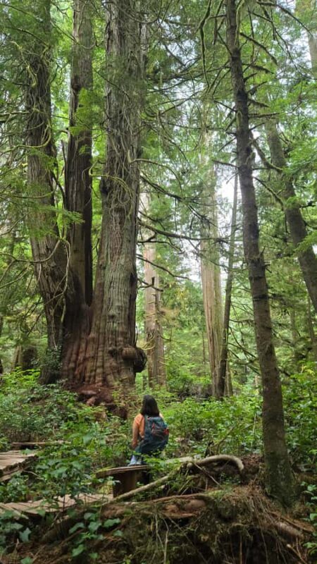 Victoria West Coast Wildlife, Old Growth and Waterfalls - What Travelers Say: Authentic Feedback