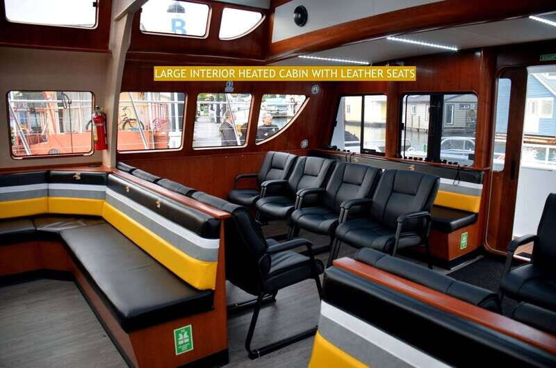 Victoria: Whale and Wildlife Semi-Covered Boating Tour - The Sum Up: Is It Worth Your Time?