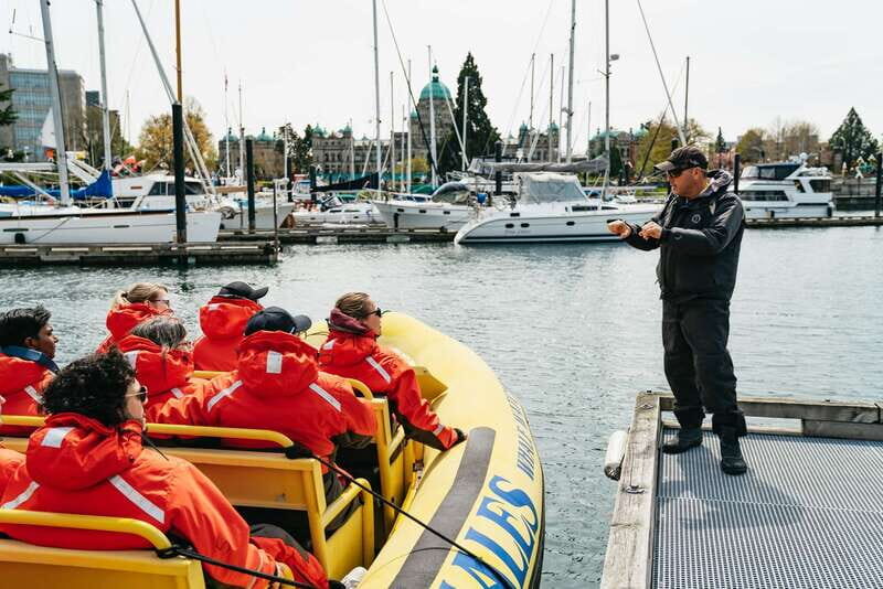 Victoria: Whale Watching Adventure in a Zodiac Boat - Authentic Experience: The Real Takeaway